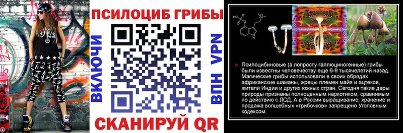 гидра зеркало  купить закладку  Армянск  Псилоцибиновые грибы мицелий 
